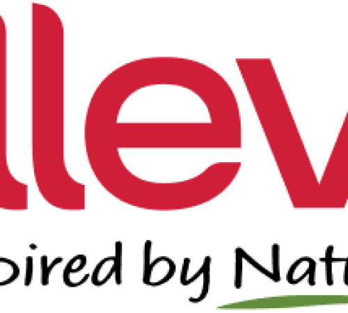 Alleva А1 Digital Solutions